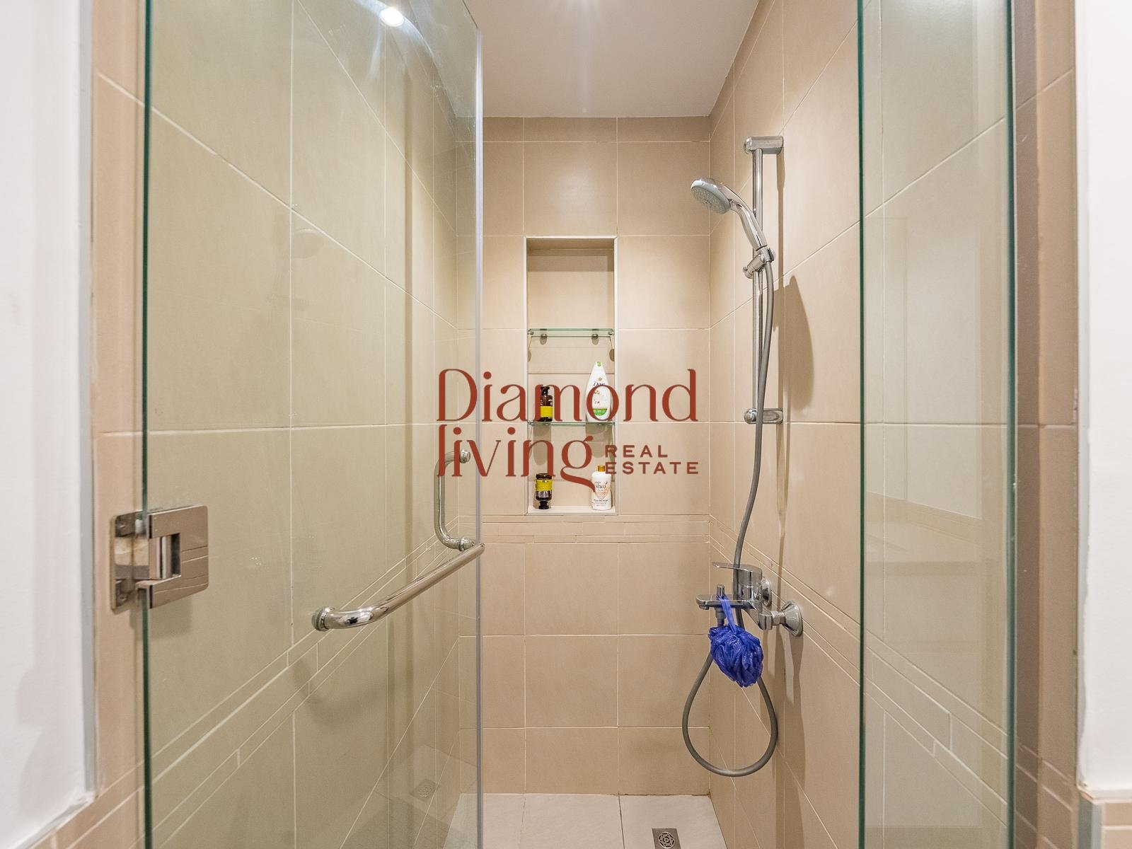 Modern Layout | Ready | High ROI