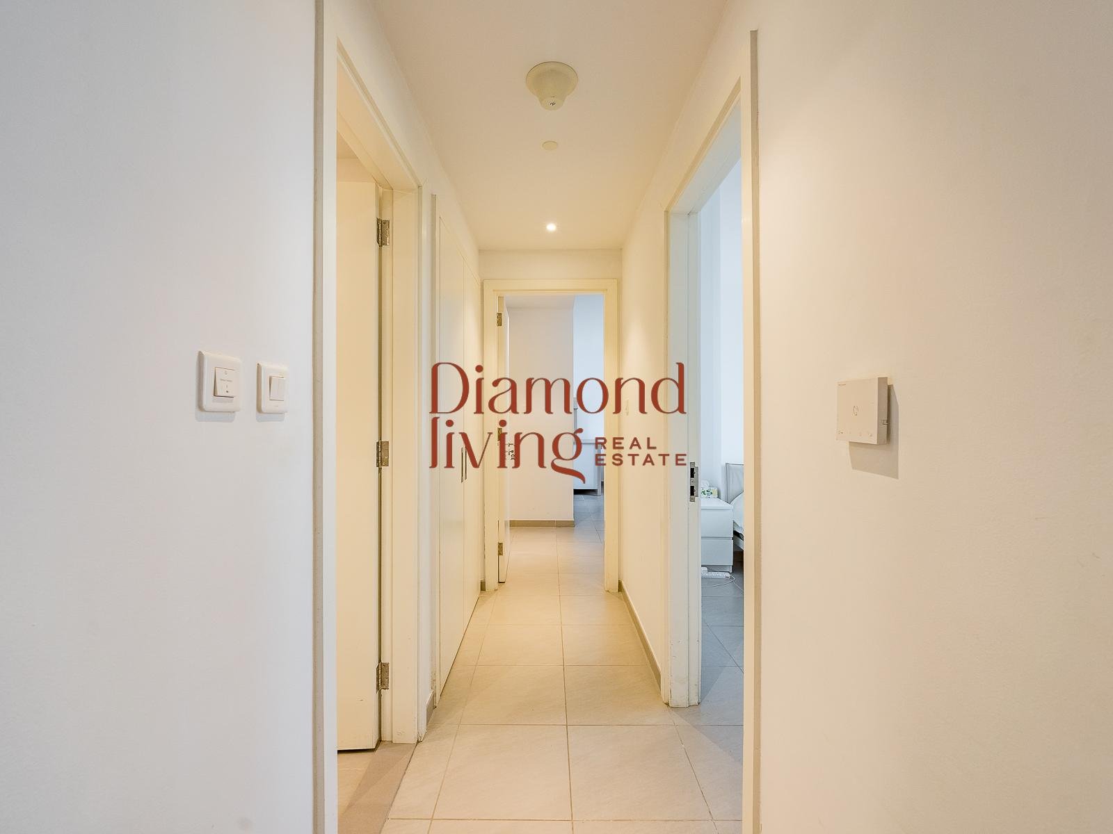 Modern Layout | Ready | High ROI